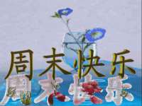 广州顶呱呱企业管理有限公司